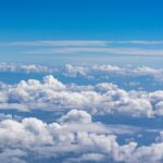 Илья Брусникин