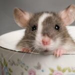 Владимир Ревзин