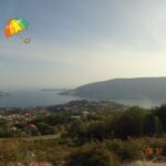 Владимир Колесов