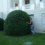 Юлия Иванова