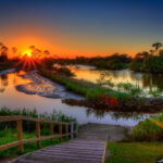 Лида Ковалева