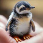 Алексей Мирный