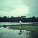 Владимир Буянкин