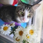 Полина Тарасова