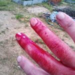 Алексей Пронкин