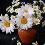 Татьяна Меркуль