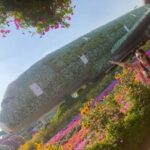 Валентина Ротанева