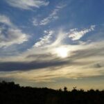 Дмитрий Новиков