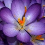 Валентина Исаева