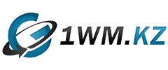 1wm.kz